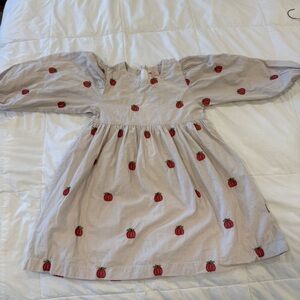 Pink Chicken Pumpkin Dress